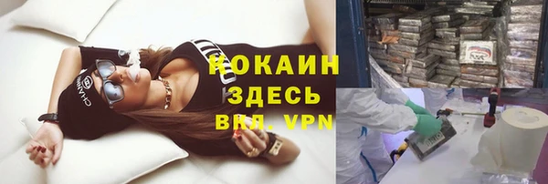 spice Арсеньев
